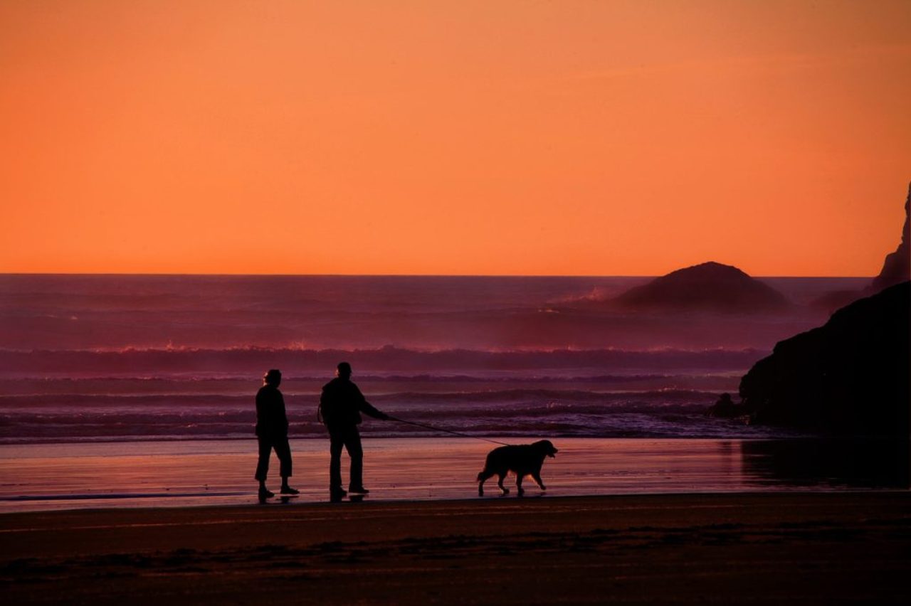 couple-âgé-promenade-sur-plage-avec-chien-au-coucher-du-soleil